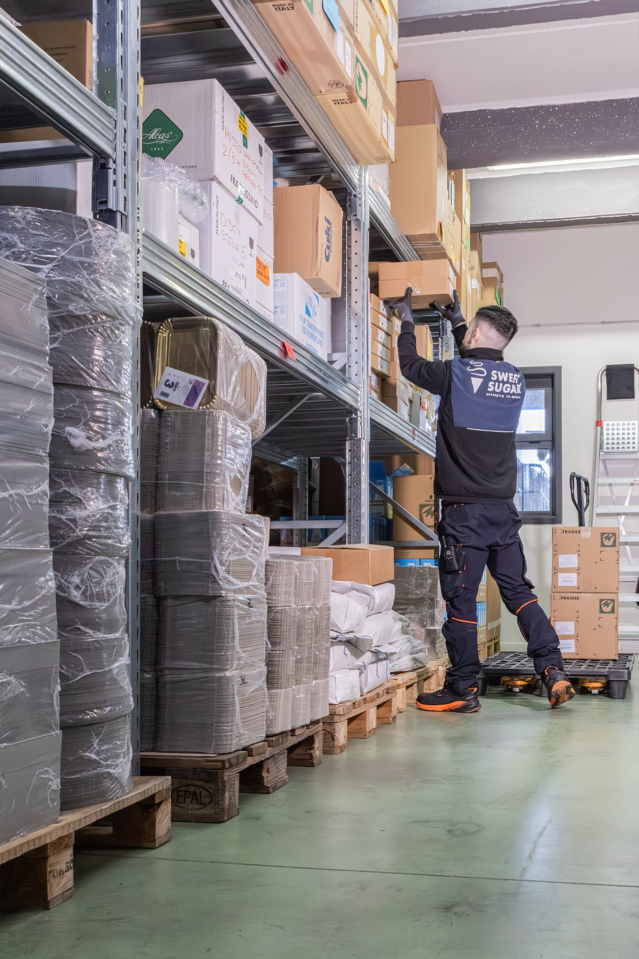 logistica-1